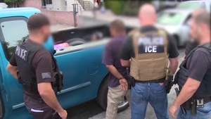 Fugitive Operations Targeted Enforcement Action - LA