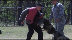 Canine Cops