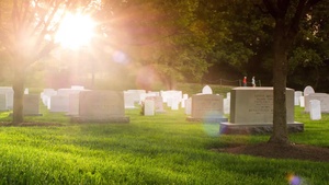 The Price We Paid
