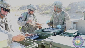 Field Chow at NTC (Nugget)