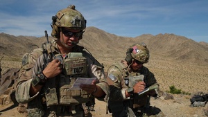 Airmen Calls Close Air Support at NTC (Social Media)