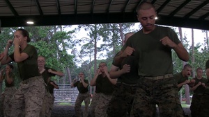 Papa and Alpha Company Learn MCMAP
