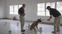 CPEN Hosts ATF lead canine training