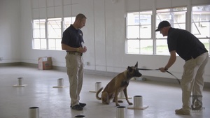CPEN Hosts ATF lead canine training