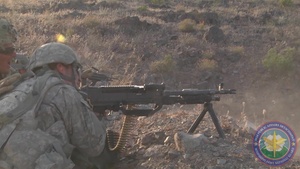 A/1-155 LFX (Nugget)