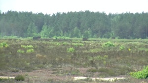 Battle Group Poland U.S. Soldiers conduct 50 caliber machine gun weapons firing