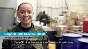 #WeareNATO, The Canadian Avionics Technician - Master with Subtitles