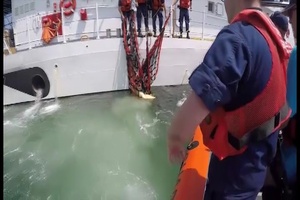 Coast Guard rescues Loggerhead Turtle