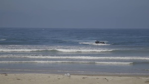 Camp Pendleton hosts community members for 75th Anniversary- BROLL