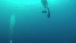 Prime Cut: Western Pacific Naval Symposium Diving Exercise