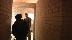 Saber Stike 17 brings together NATO Allies