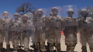 Observer Coach Trainers with the 491st MP Company