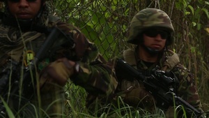 Exercise Tradewinds 2017