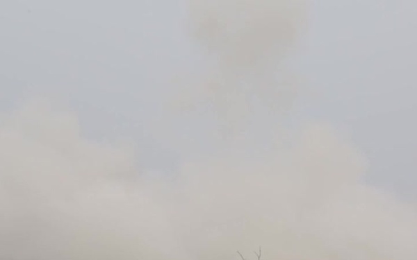 Reserve Marines Join Forces During Saber Strike 17