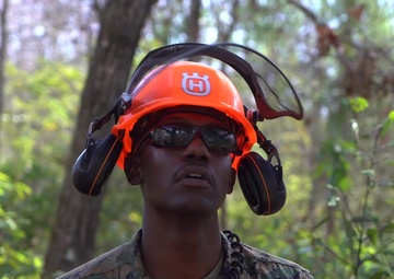 Combat Engineer Falling Timber
