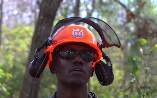 Combat Engineer Falling Timber