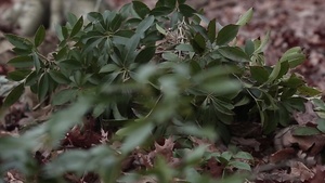 Scout Sniper School B-Roll