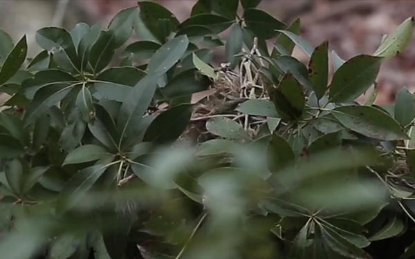 Scout Sniper School B-Roll
