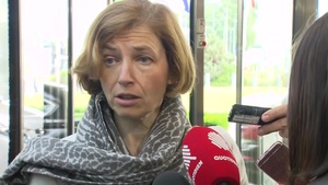 Meetings of NATO Ministers of Defence: France Doorstep statements