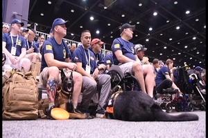 Department of Defense Warrior Games