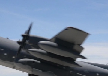 B-Roll Day of the Jackal