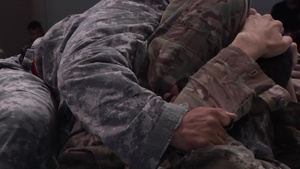 COMBATIVES