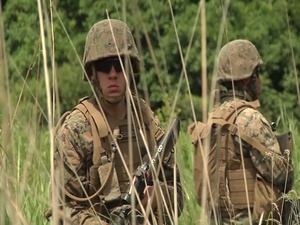 Marine Wing Support Squadron 171 conducts own security patrol (B-Roll)