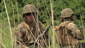 PACUP: Marine Wing Support Squadron 171 conducts own security patrol