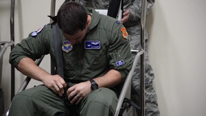 Harness Training