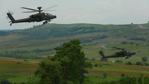 Getica Saber Distinguished Visitors Day firepower deomnstration