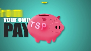 Blended Retirement System: First 4 years