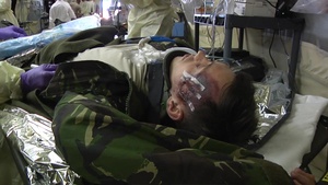 Mass Casualty Exercise Builds Multi-National Interoperability