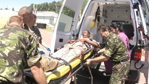 Saber Guardian 2017 Mass Casualty Exercise Builds Multi-National Interoperability
