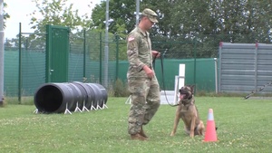Day 1 Military Working Dog Training