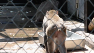 Zoo Clean Up