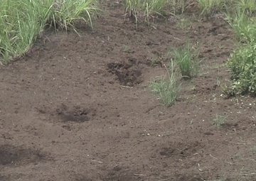 Marine Wing Support Squadron 171 trains using M67 fragmentation grenade (Package/Pkg)