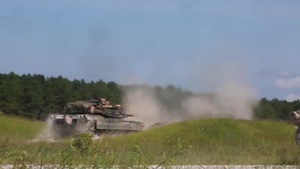 Iron Wolf 17