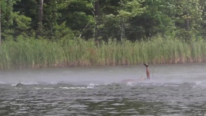 The U.S. Coast Guard Water Survival Demonstration B-Roll