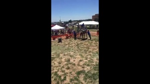 Summer Slam 2017
