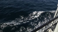 Pacific Spotlight: QM3 Nicholson