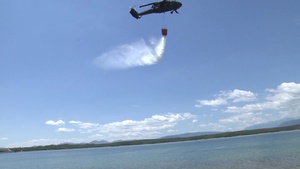 Bambi Bucket Training
