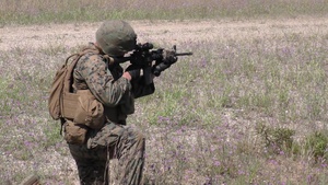 Marine Infantry and Mechanized Support Ops