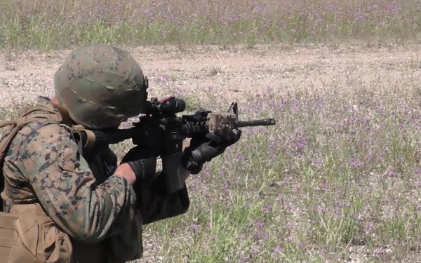 Marine Infantry and Mechanized Support Ops