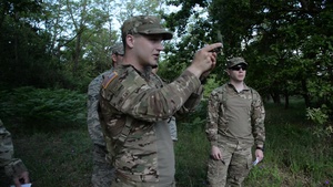 Cadre Focus Stringer