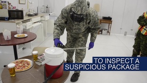 Training to Combat Biological and Chemical Attacks (Master)