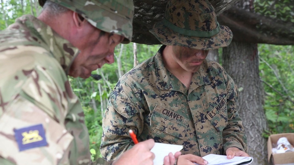 DVIDS - Video - (B-Roll No Narration/Text) Northern Strike 17: Task ...