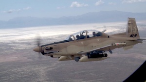AT-6 Flight