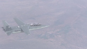 Scorpion Profile
