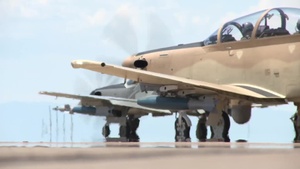 A-29 & AT-6 Taxi