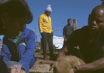 AFN Europe News Break One-minute - 8 Aug 2017